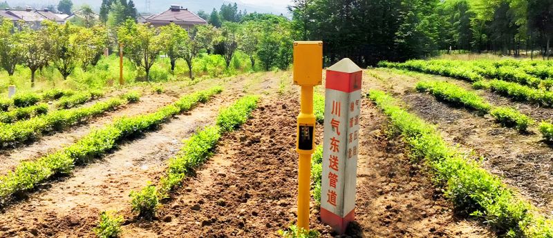 服務(wù)實(shí)力